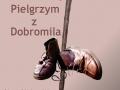 "Pielgrzym z Dobromila" w Puławach